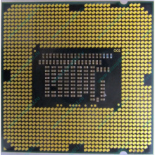 Процессор Intel Pentium G2030 (2x3.0GHz /L3 3072kb) SR163 s.1155 (Архангельск)