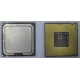 Процессор Intel Celeron D 336 (2.8GHz /256kb /533MHz) SL98W s.775 (Архангельск)