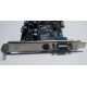 NV18-3710D 64Mb nVidia GeForce4 MX440 AGP 8x (Архангельск)
