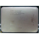 AMD Opteron 6128 OS6128WKT8EGO (Архангельск)