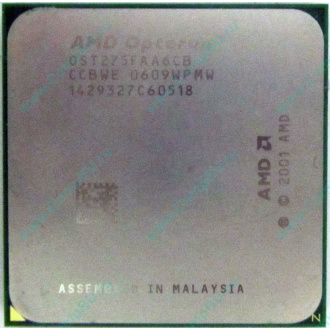 AMD Opteron 275 OST275FAA6CB (Архангельск)
